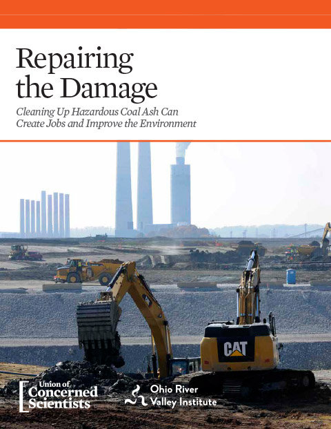 Repairing the damage report cover image