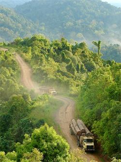 A truck carrying wood driving down a road