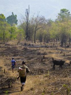 Two workers in barren field