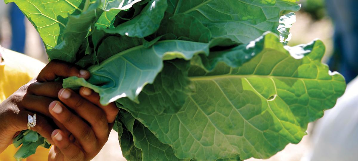 Girl holding bundle of greens