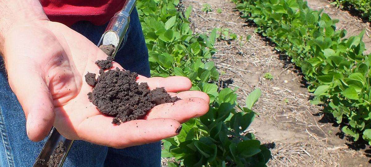 A hand holding soil