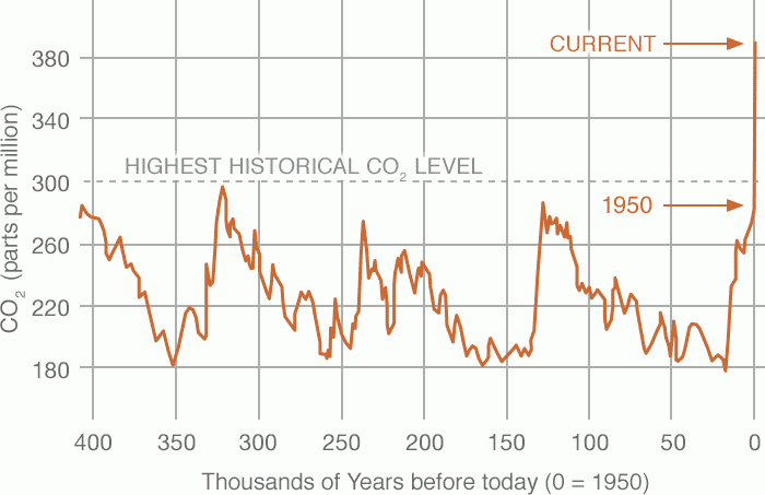 A line chart