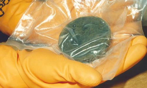 Person with protective gloves holding a button of refined plutonium metal 