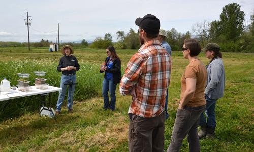 Farmers attending USDA demonstration of agroecological techniques