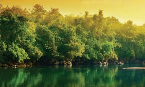 Forested riverbank with yellow sky