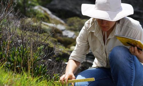 Scientist crouching on a hillside with ruler and notebook