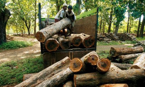 Two men remove timber into a truck in Jepara, Central Java Indonesia