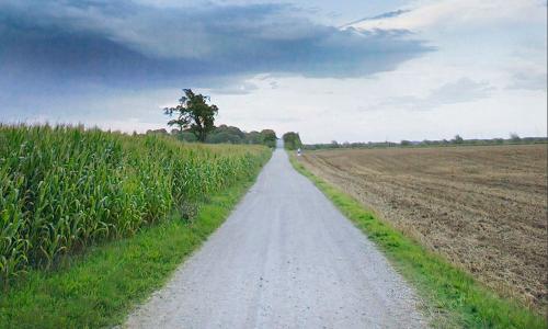 Two fields on either side of a road, one productive, one barren