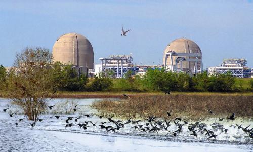 South Texas Project nuclear plant