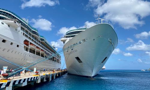 A docked cruise ship.