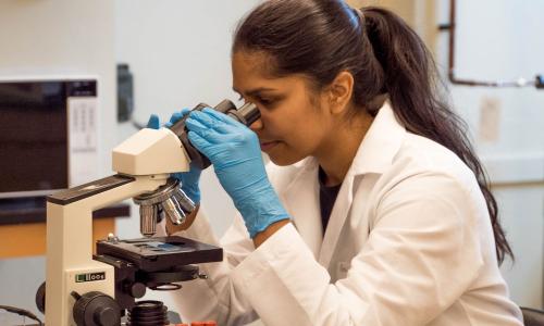 woman scientist looking into microscope