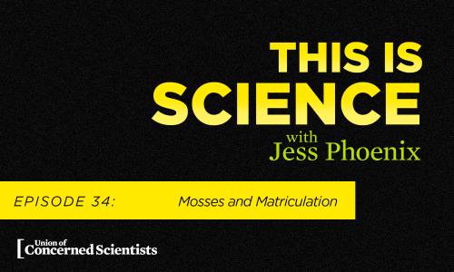 This is Science with Jess Phoenix Episode 34: Mosses and Matriculation