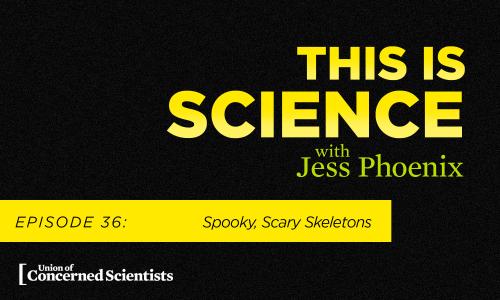 This is Science with Jess Phoenix Episode 36: Spooky, Scary Skeletons