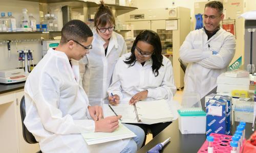 Four researchers in lab coats comparing results