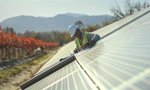Un técnico revisa sistema solar en granja agrivoltaica