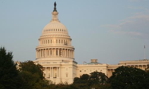 The US Capitol.